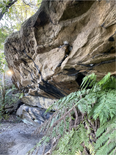 Wallumedegal Rock Shelter in Kelly’s Bush, Hunters Hill.